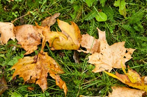 IMG_3015_bearbeitet-1