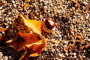 IMG_3444_bearbeitet-1