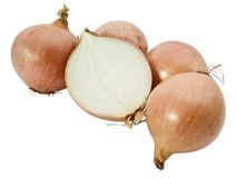 zwiebel